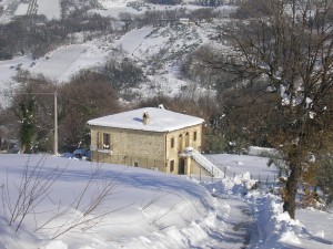 SANYO DIGITAL CAMERA