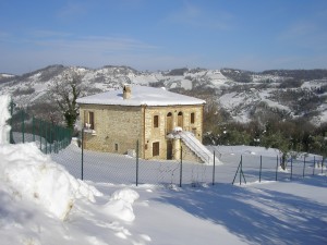 SANYO DIGITAL CAMERA