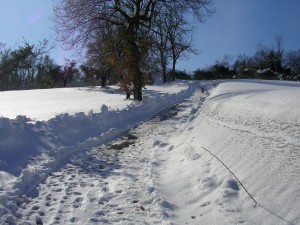 SANYO DIGITAL CAMERA