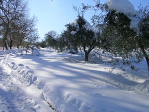 SANYO DIGITAL CAMERA